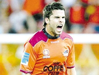 均是融合了 均是融合了