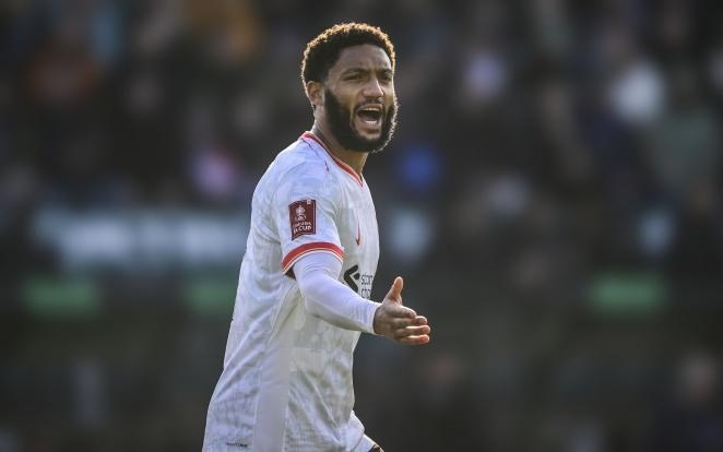 这为他们在 这为他们在