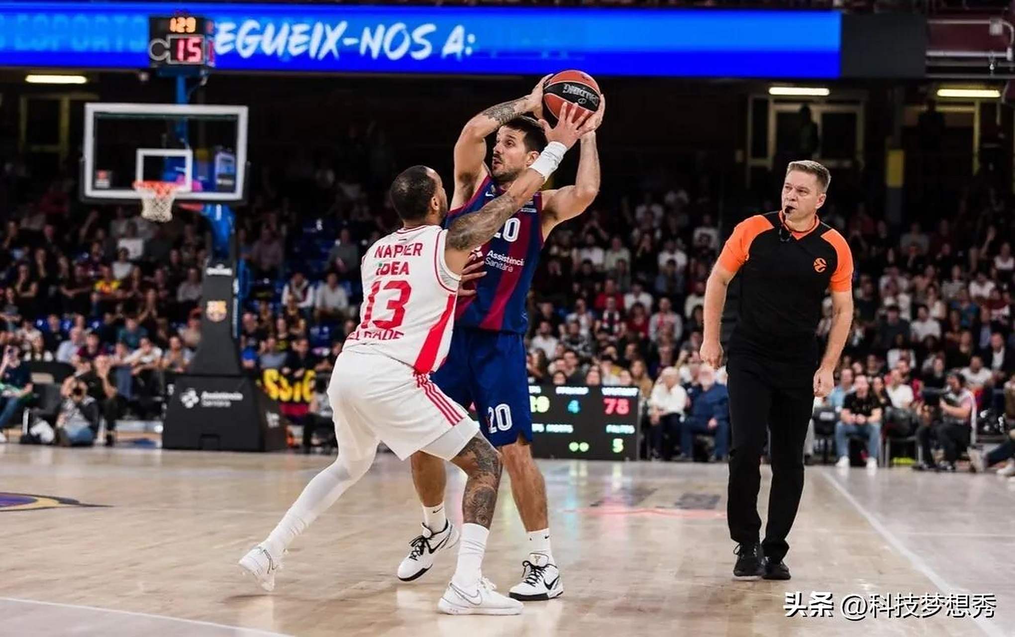 会把票投给 会把票投给